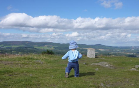 A toddler on the summit of a hill