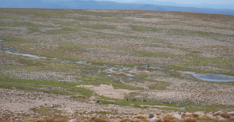 On the Braeriach plateau